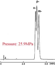 Competitor's 2 µm C<sub>18</sub>