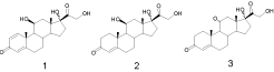 Adrenal cortical hormone