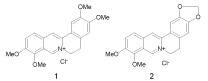 Berberine