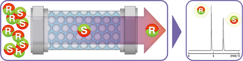 Conceptual Model