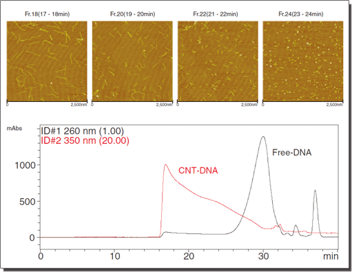 Chromatogram
