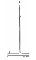 Competitor's 2 μm C18