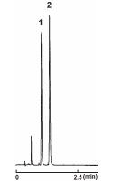 Competitor's 2 μm C18