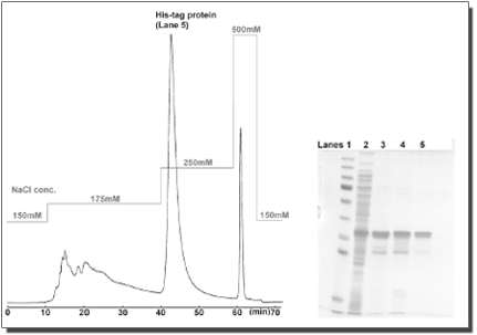 Chromatograms