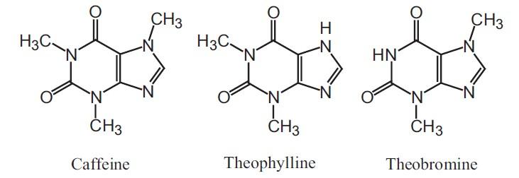 sfc-1-sample.jpg