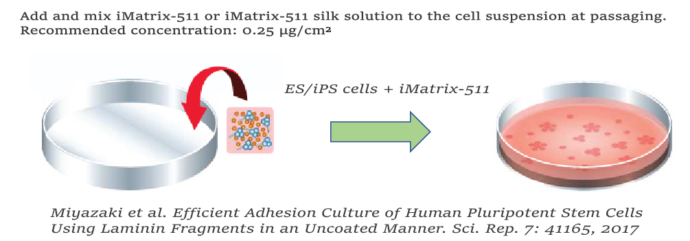 Non-precoated%20manner-01-01-01.jpg