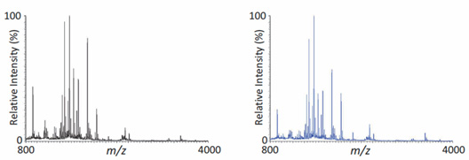 MS analysis results