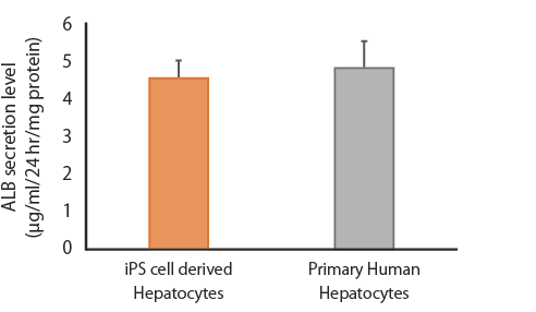 AscleStem Hepatocyte_App2.png