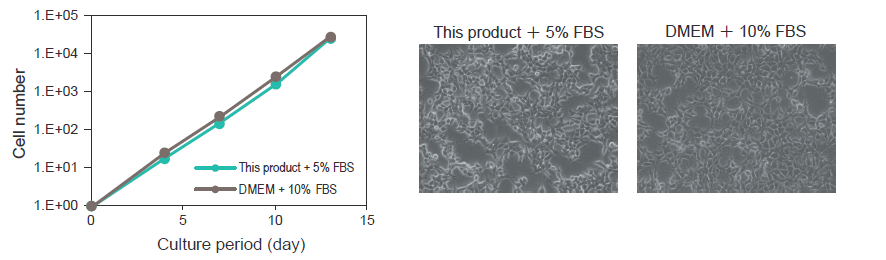 Cell_proliferation_rate.png