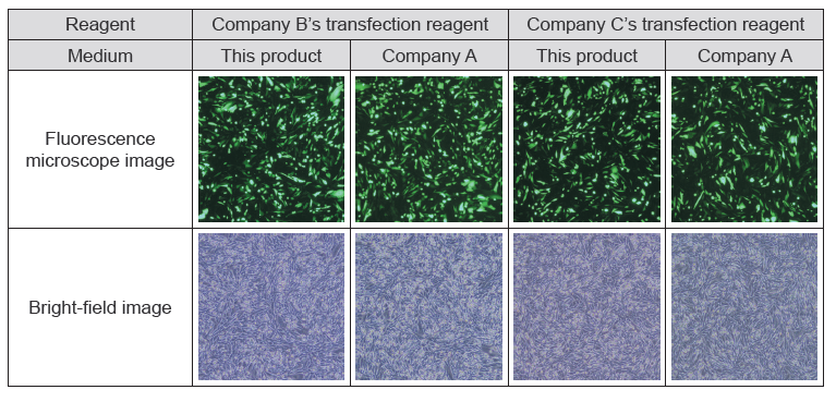 Transfection_CHO.png