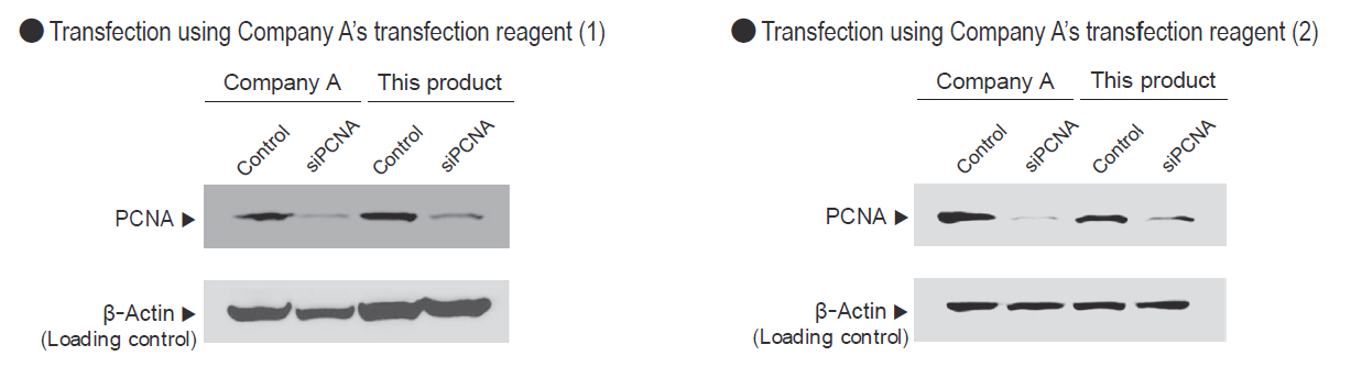 Transfection_companyA.png