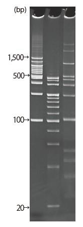 d004034_Lineup_10-20_nu.png