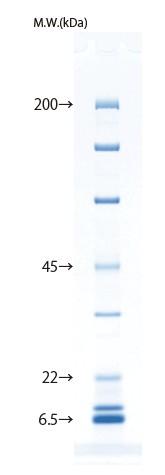 d004034_Lineup_7.5-15_protein.png