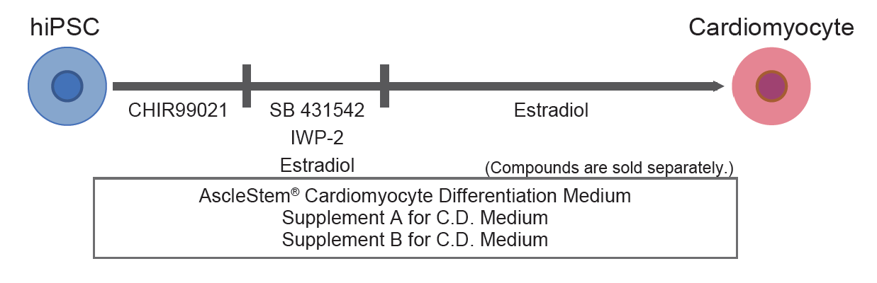 example image