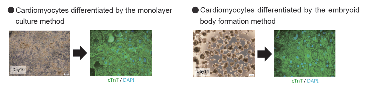 method image