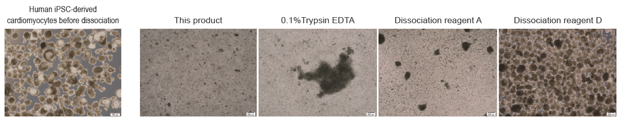 example image