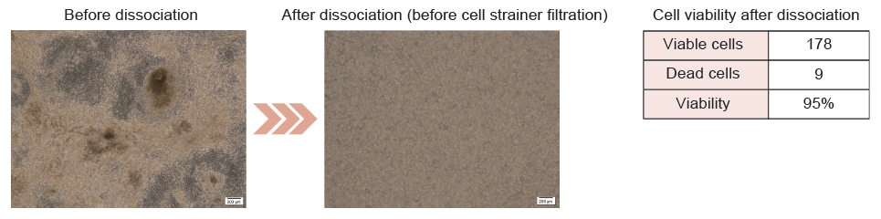 example image