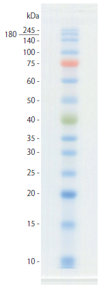protein adder one plus 5.PNG