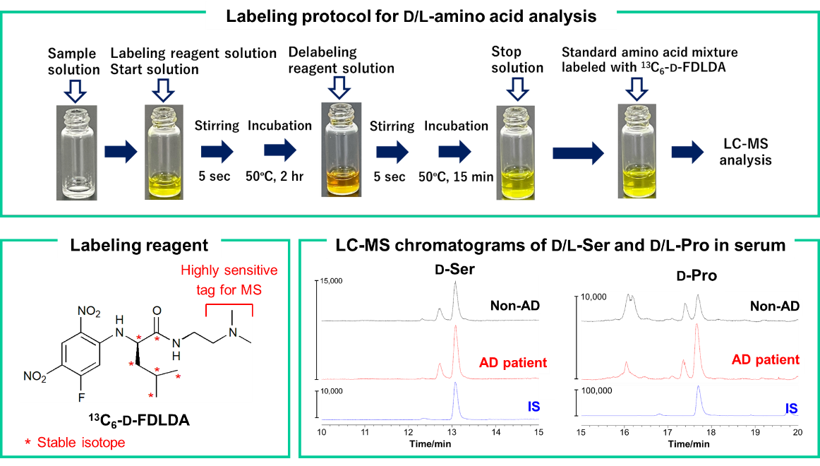 Overview diagram of this study